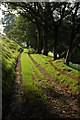 Track above Blaen-dyffryn