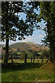 View north from Cwm Fran-fawr