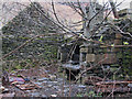 Derelict croft at Croftown