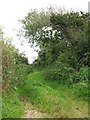 Green lane at Gorrans Down