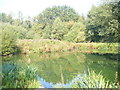 Peasmarsh Pond