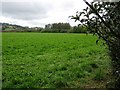 SO2192 : Field near Perthybu by Tim Marshall