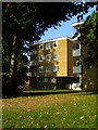 Flats, Seymour Close