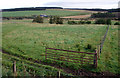 Grass Fields, Findron Farm