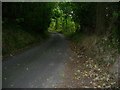 Byway near Little Whiffetts