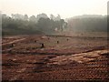 Area for development. Exeter Business Park