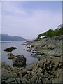 Loch Long shoreline