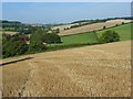 Farmland above Whittonditch