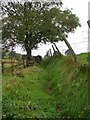 Footpath - Godly Lane, Rishworth