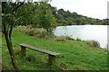 Fishing lake near Ufton Wood