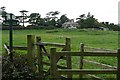 Footpath to The Lambden