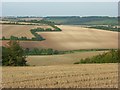 Farmland, Aldbourne