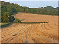 Farmland, Piddington