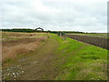 Track and barn