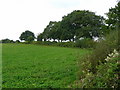 Field corner near Pinner Green