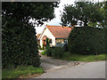 A glimpse through the hedge