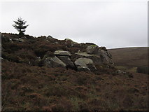 NY5881 : Hangingstone Crags by David Liddle