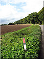 Brick Kiln Road past Great Heath Plantation