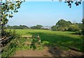 Farmland With A View