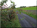 Auchenames Farm Road