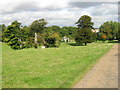 View across Fredville Park to the Lodge