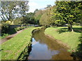 Mill stream, Ottery St Mary