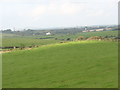 SH3483 : View across grazing lands towards Maen-y-goron by Eric Jones
