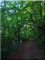 Bridleway near Washington Limekilns