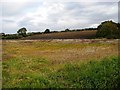 Farmland by Brandy Carr Road