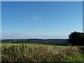 View from Long Lane to Stannington