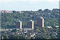 Deer Park Tower Blocks, viewed from Loxley