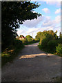 Hollow Way Cottages, Chanctonbury Ring Road