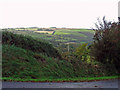 Field bank near Tan-y-foel, Troed-yr-aur