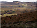 Moorland on Gorton Hill