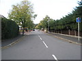 Looking up Merthyr Avenue