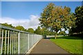 The Annadale Embankment, Belfast (1)