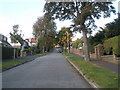 Looking up Portsdown Avenue