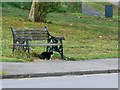 SU1588 : Bench and cat, Ramsbury Avenue, Penhill, Swindon by Brian Robert Marshall