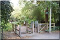 Footpath into Hadleigh Great Wood