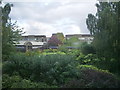 Courtyard garden at The Heath Business Park, Runcorn