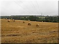 Straw bales near Birkhill