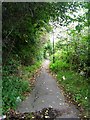 Footpath by Railway Line - Potovens Lane