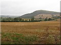 Farmland near Redpath, with Black Hill in the distance