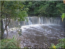 NS7459 : Waterfall on South Calder Water by G Laird