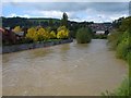 Severn in spate, Newtown