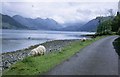 Loch Duich from Letterfearn