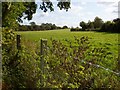 Barton Stacey - Edge of Tidbury Common