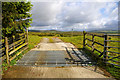 SD9221 : Cattle Grid on the Long Causeway near Thorns Greece by Phil Champion
