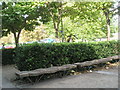 Wavy benches outside Aldershot Library