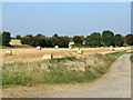 2008 : Harvested field near Northwood Farm